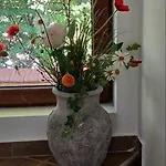 ренесанс *