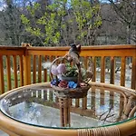 ренесанс