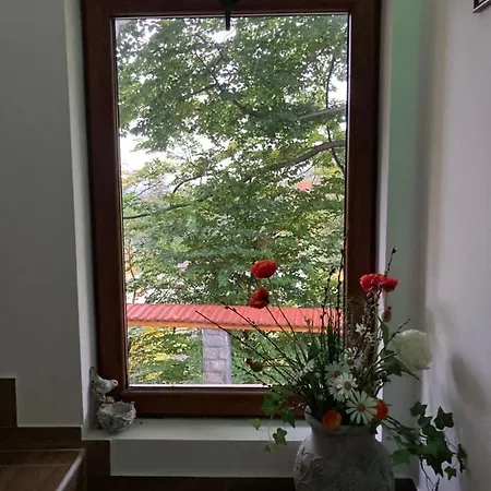 ренесанс וילה