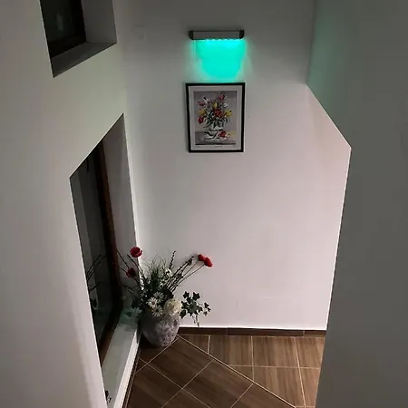ренесанс *