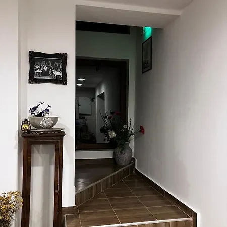 ренесанс كوستينيتس