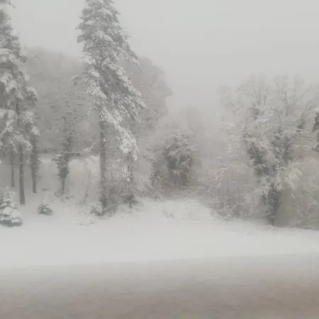 ренесанс Kostenets