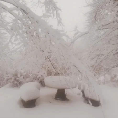 ренесанс * Костенец