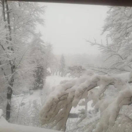 ренесанс Костенец