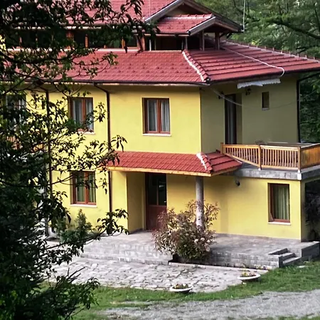 ренесанс * Kosztenec