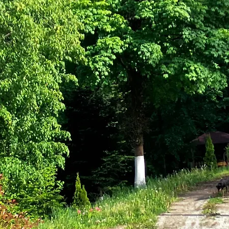 ренесанс