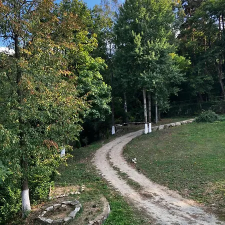 ренесанс Kosztenec