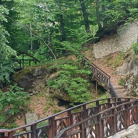 ренесанс Kosztenec