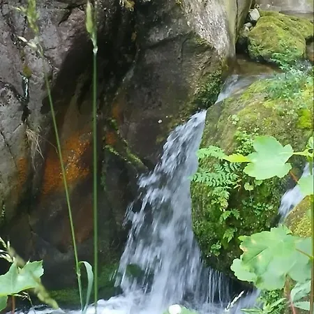 ренесанс