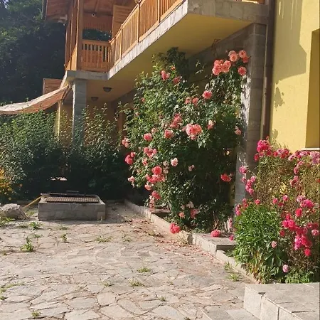 ренесанс Villa Kostenets