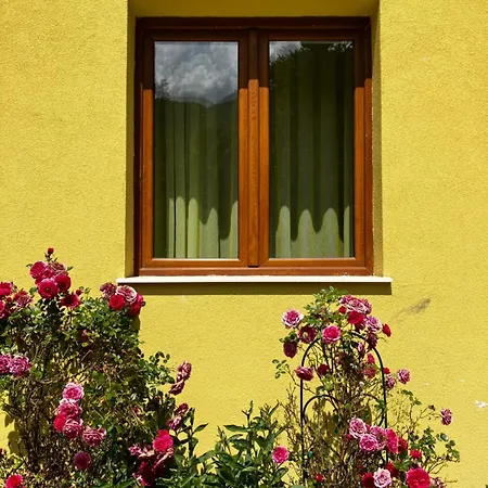 ренесанс Костенец