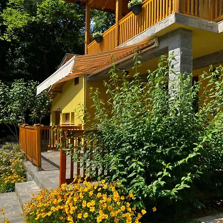 ренесанс * Kosztenec