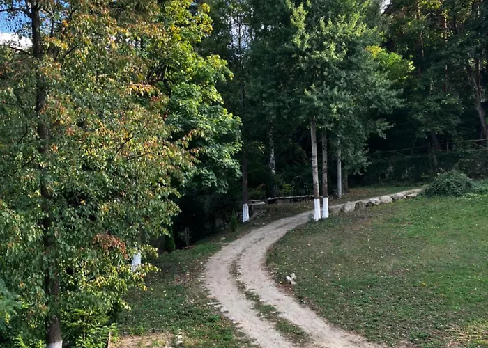 ренесанс Kostenets