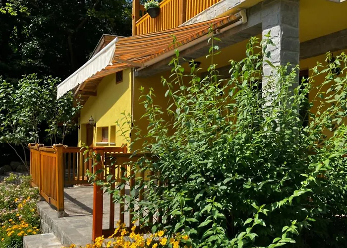 ренесанс * Kostenets